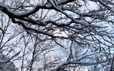 Kalender oder Natur?